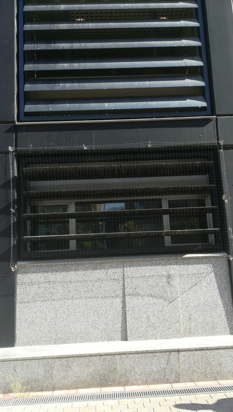 Redes fachada Sur Centre Idiomes Universitat Valencia 25