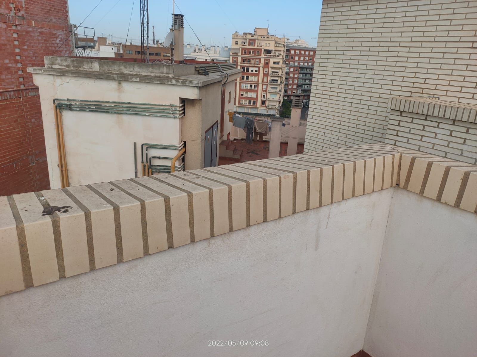 Promotora encuentra inquilinos no deseados palomas
