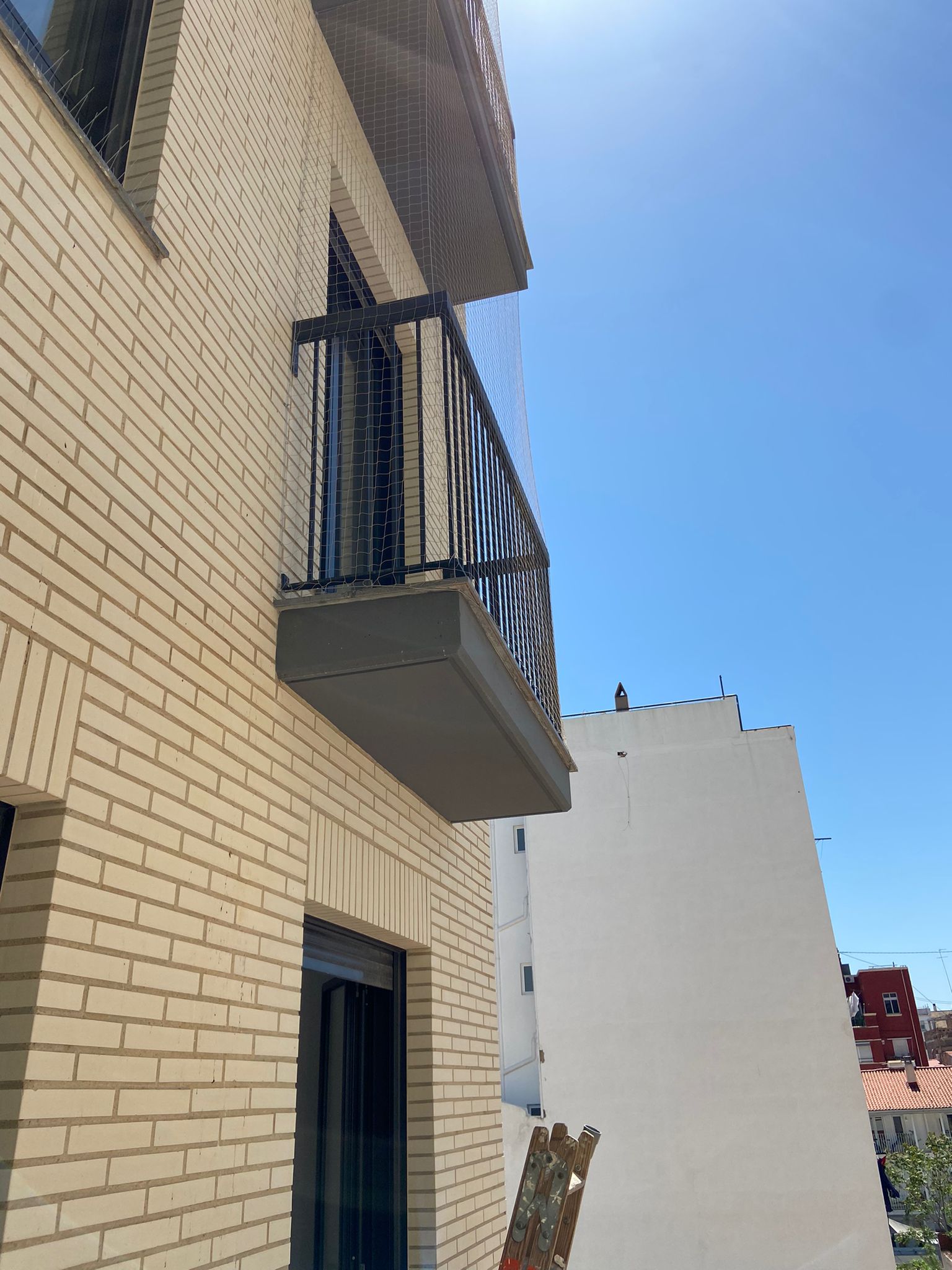 Promotora encuentra inquilinos no deseados palomas